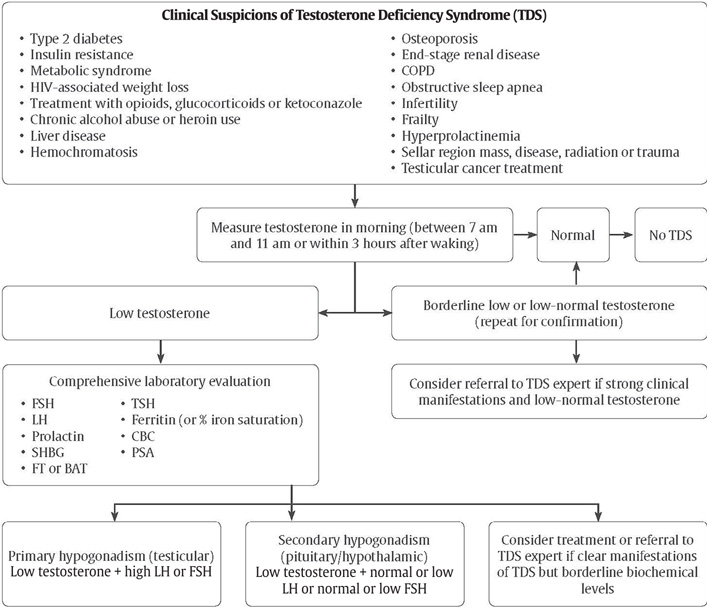 Ch33-Fig1-Diagnostic-workup-of-hypogonadism.jpg