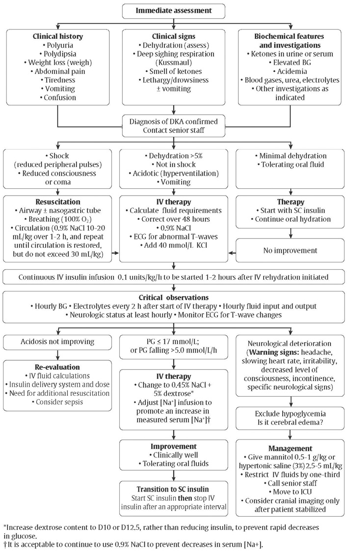 Ch34-Fig1-Immediate-assessment-and-management-of-DKA-in-children.jpg
