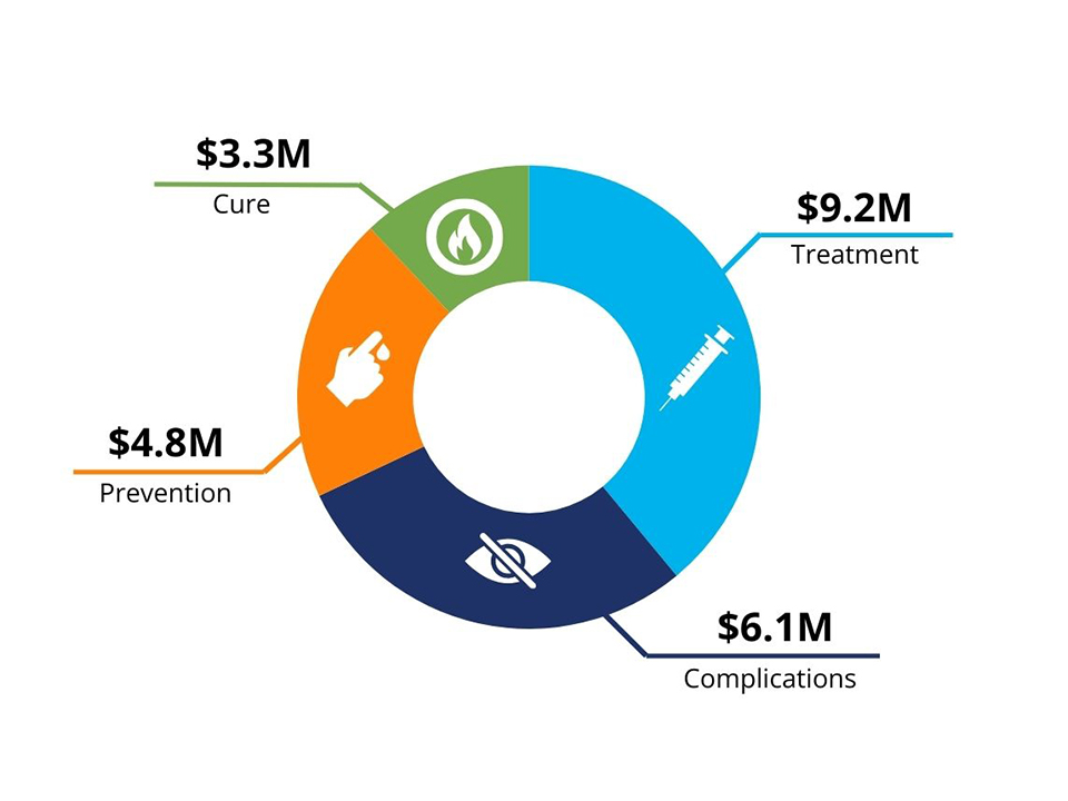 Diabetes Canada research funding by goal