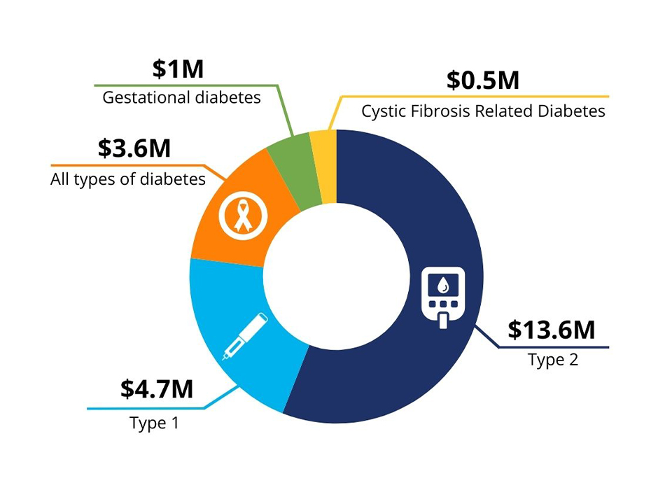 Diabetes Canada research funding by type